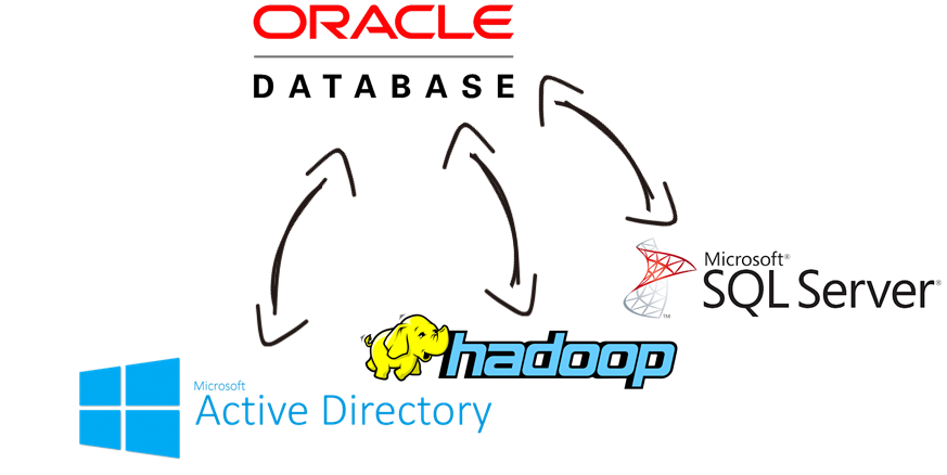 Oracle Database Integration with Microsoft Active Directory, Hadoop, SQL Server, and, virtually any other application or data source that you may need to work with