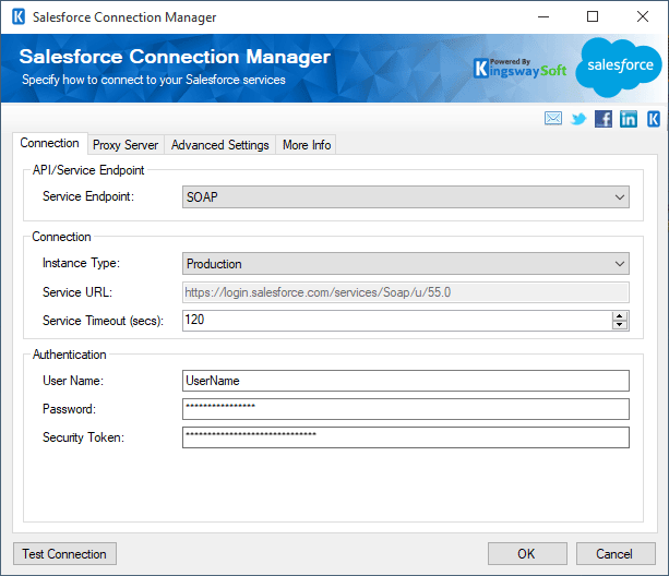 Salesforce Connection Manager