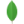 ssis mongodb connector