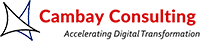 Cambay Consulting LLC - Logo