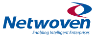 Netwoven - logo