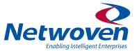 Netwoven - logo