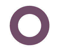 SSIS Odoo Connector